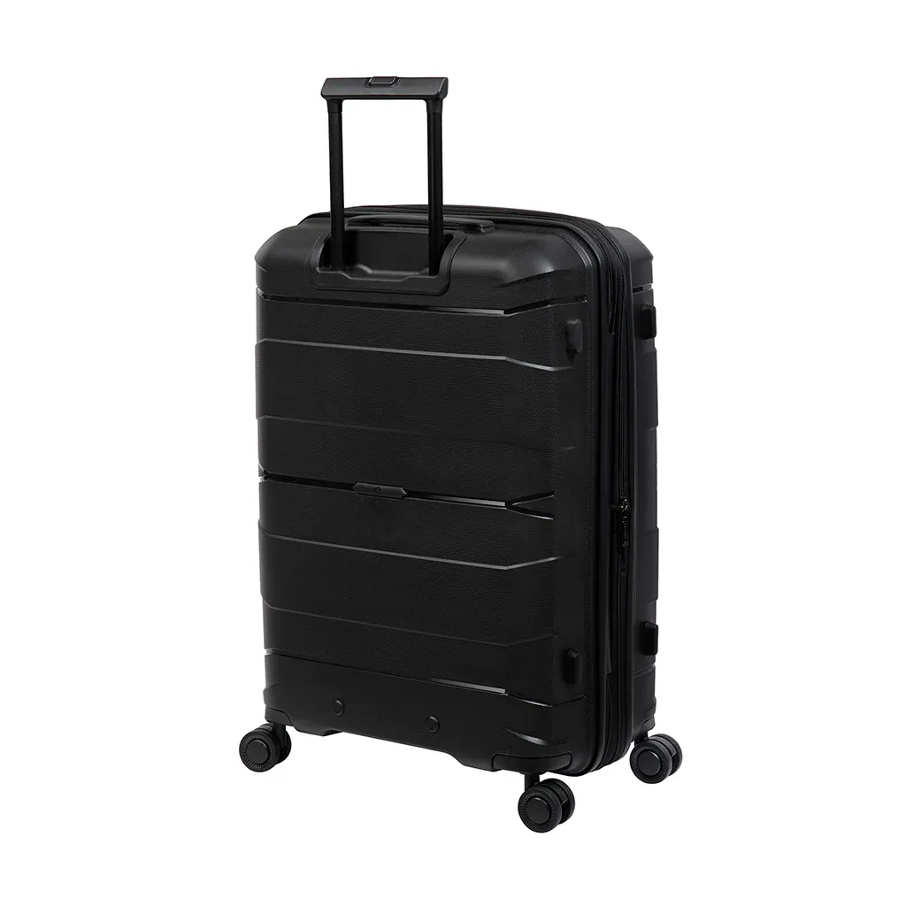 It luggage Momentous