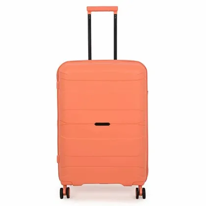 It luggage Momentous